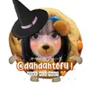dahdahtofu