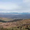 maunelcallolsrgo
