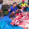 suciharmoko4