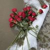 fatima.abbo