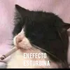 carlosdamianamaya