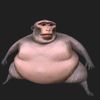 macaco_124