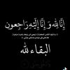 user37274823078453