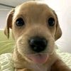 zn_miller201yt