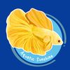 aquaticsunshine