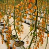 oanh7740