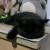 pancake0359