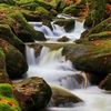 taher.mehalhal
