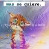 carlosgatitos