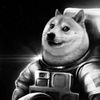spacedog756