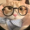 punxinhgai_4
