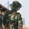 m_19_mv_v