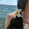 jaderuinscorea
