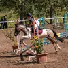 flc...kulik