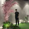 dinhphi037