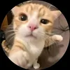 user8241461613937