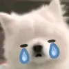 tik_hanny