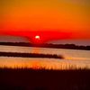 gulfcoastlady