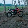 crf_laso