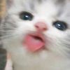 tutirhmdnip