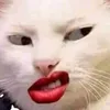 camillanascimento27