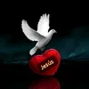 user6337072460571
