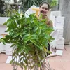 hien.hau2000