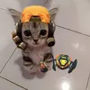 krxyz.nwwe