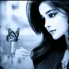 wwwbutterfly915