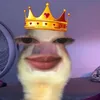 motlurandoc0