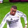 milan1113747