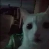wettyksd