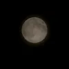 alis_a024