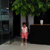 tininazla
