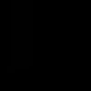 dv.chr1sss