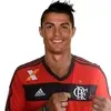 parazinho549