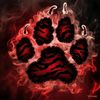_tiger_pawz_