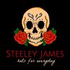 steeleyjames.co