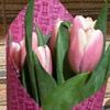 ana.elward