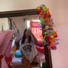 ev.elin7