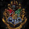 Harry potter 🪄