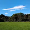 lily_stevens0n