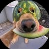 llqslgolden