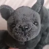 crazybara123