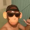 macacoanimacoes