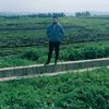 dahham.alkhaled