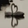 e.4736
