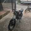 nova.saputra449