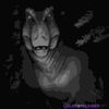 tyrannottitan