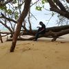 shamsul.sul